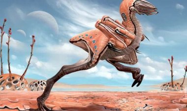 Как найти жизнь у другой звезды