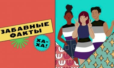 Очень Интересные Факты