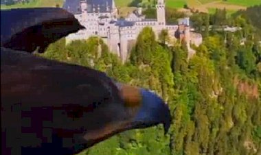 От первого лица: Полёт орла