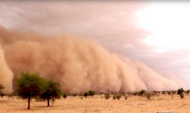 Куда исчезла персидская армия царя Камбиза? Или о коварстве пустыни