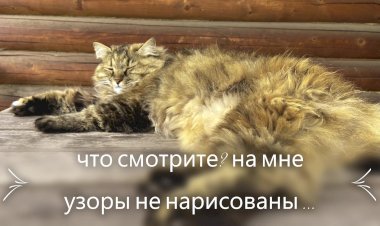 А вы можете похвастаться такой шубкой?