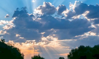 Прохлада после жары