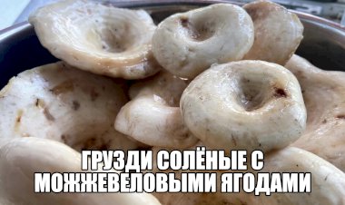 Грузди белые, солёные с можжевеловыми ягодами