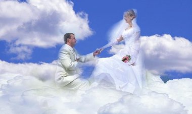 Чувства раздельны с отношениями и отношения людей разумных раздельны с фауной