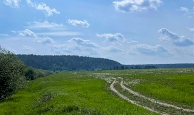 По дороге с облаками)