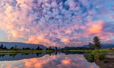 Летнее теплое утро)