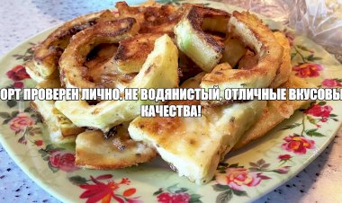 Кабачок - что может быть проще? Но и сорт имеет значение!