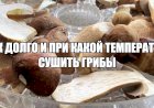 Время и температура, оптимальные для сушки грибов