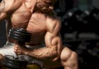 Как стать обладателем красивых бицепсов