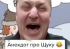 Анекдот про Щуку.