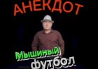 Анекдот "Мышиный футбол"
