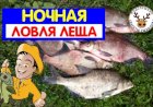 Ночная ловля леща на фидер. Бешеный клёв