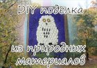 Поделка Сова из природного материала .mp4