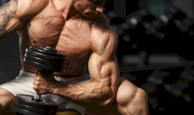 Как стать обладателем красивых бицепсов