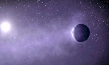 Почему нептунов мало?