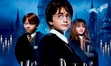 Игорь Потов и метамфетаминовый  камень (часть 27)