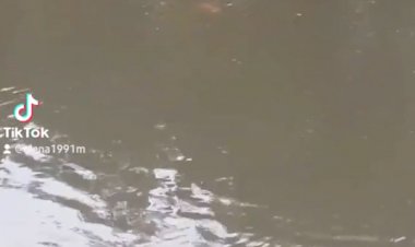 Мир прекрасен в мелочах