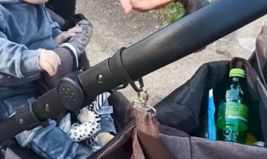 Приучается к прекрасному.