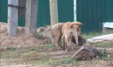 Азарт - Исполняет Аверьянов Сергей