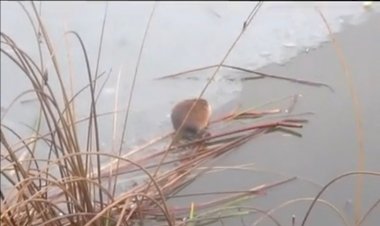 А я ещё маленькая - исполняет Аверьянов Сергей