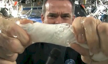 Как выжать полотенце в невесомости