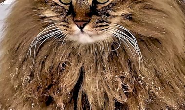 Скоро будет так