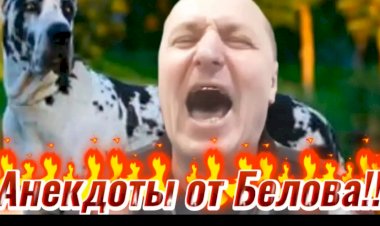 Анекдот про Трёх Собак