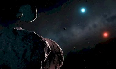 Когда пережил свою звезду…