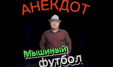 Анекдот "Мышиный футбол"
