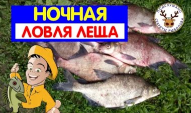 Ночная ловля леща на фидер. Бешеный клёв