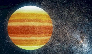 Есть ли жизнь… около пульсара?