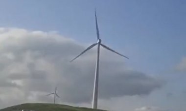 Это просто хохма