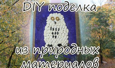 Поделка Сова из природного материала .mp4