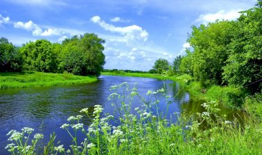От такого приятного звука дождя ,вы точно захотите уснуть...