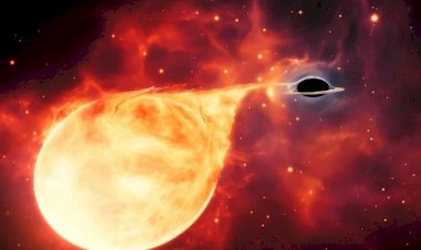 Ловись, дыра, большая и чёрная