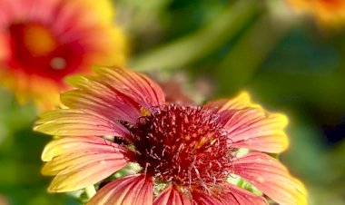 Ужин без суеты. Сентябрь