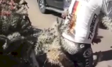 Велосипедисту не повезло