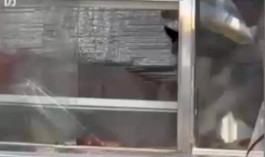 Ты такого точно не видал!!!