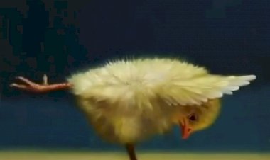 Вы должны это увидеть!!