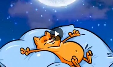 Желаю отлично выспаться!