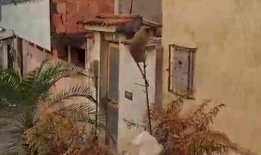 "Том и Джерри" - Это точно смешно