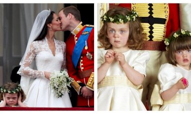 Свадьба Уильяма и Кейт - 9 интересных фактов