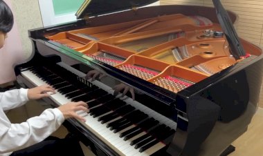 Молодая девушка удивляет умением играть на пианино....