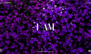 Музыка - Пиано.Это превосходно!