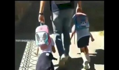 И снова в любимую школу