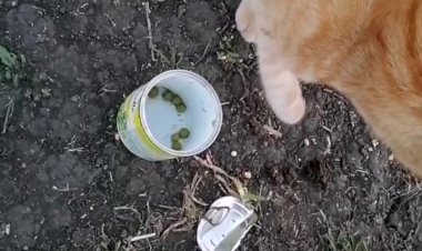 Случай на рыбалке