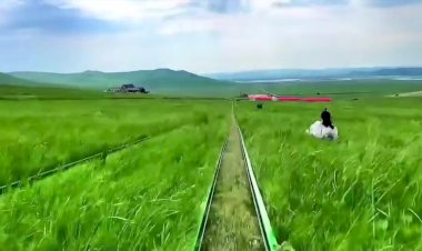 Вот это -Адреналин!