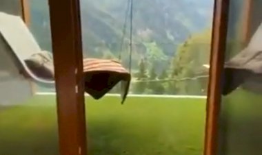 Самый шикарный день...Аниме