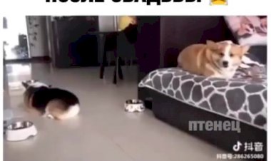 Через год после свадьбы"Муж и Жена"