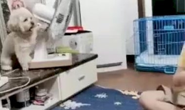 Когда стало жарко